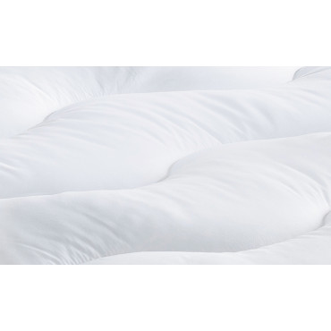 Surmatelas 1000 gsm plumes d'oie anti acariens