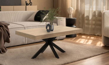 Table basse pieds spider