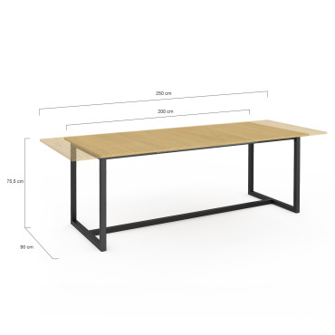 Table à manger extensible Memphis 200-250 cm