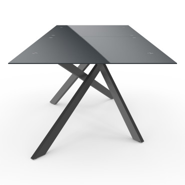 Table de jardin plateau en verre trempé noir et pieds croisés 240cm
