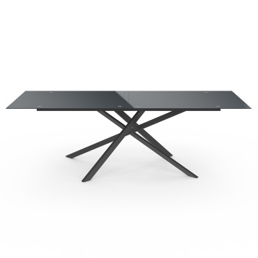 Table de jardin plateau en verre trempé noir et pieds croisés 240cm