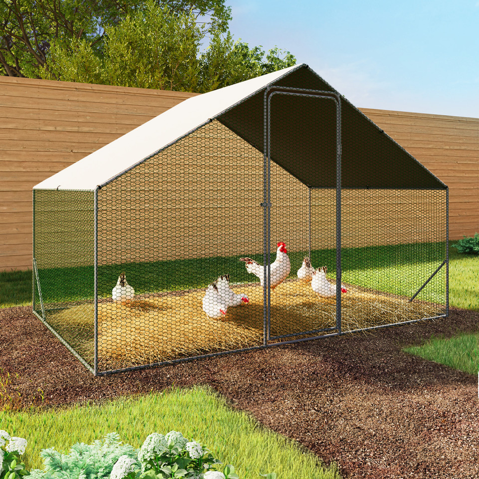 Enclos grillagé pour poules 6m² - 3x2m