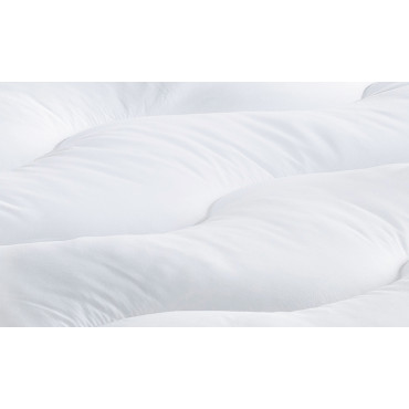 Surmatelas 1000GSM plumes d'oie anti acariens 80x200cm