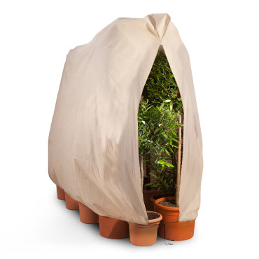 Housses d'hivernage pour plantes 200x240cm  - lot de 2