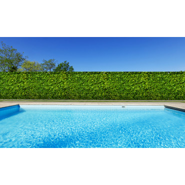Brise vue - rouleau - vegetal 1