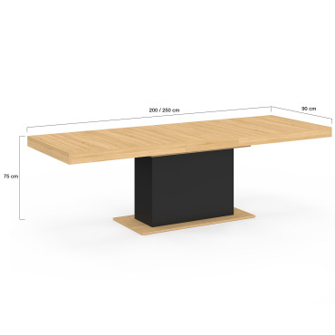 Table à manger extensible Tania bois et noir 200-250cm