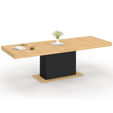 Table à manger extensible Tania bois et noir 200-250cm