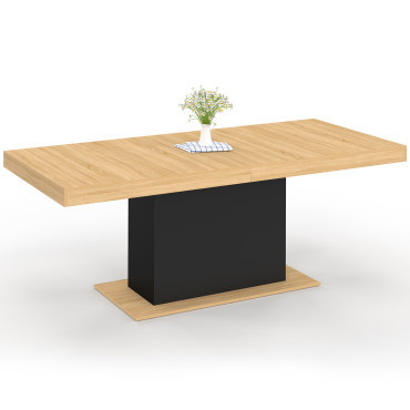 Table à manger extensible Tania bois et noir 200-250cm