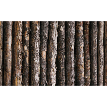 Brise vue - rouleau - bois 1x5 m