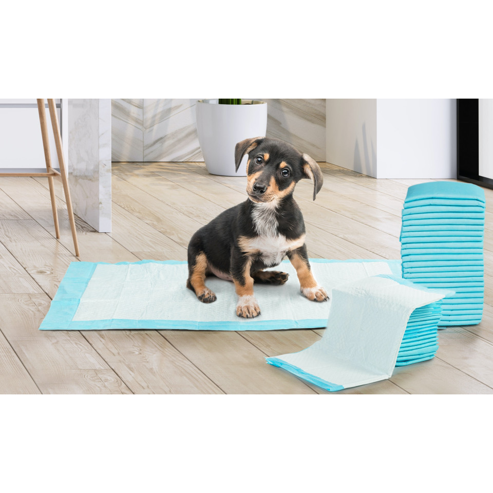 Tapis éducateur pour chien - lot de 100