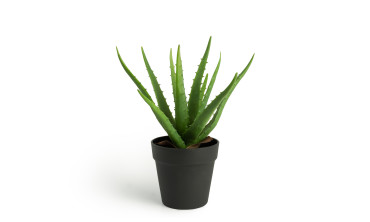 Plante artificielle - Aloe vera