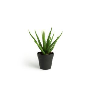 Plante artificielle - Aloe vera