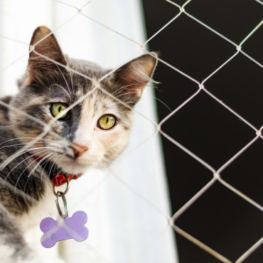 Filet de sécurité balcon pour chat