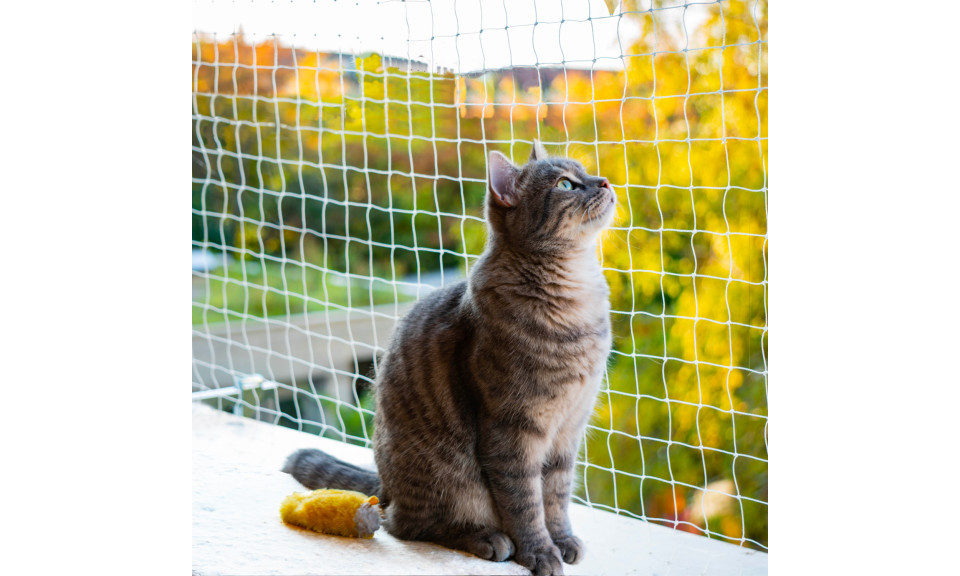 Filet de sécurité de balcon pour chats, animaux domestiques, enfants, filet  en nylon durable, clôture de balcon,[S348] - Cdiscount