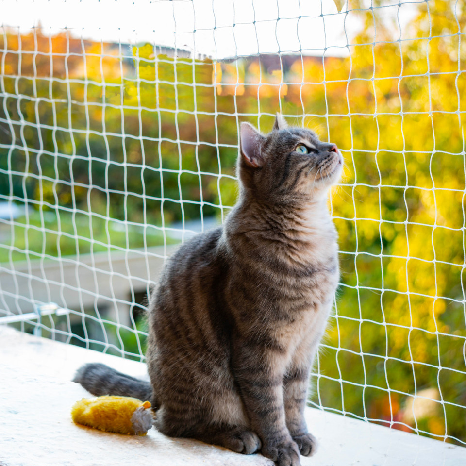 Filet de sécurité balcon pour chat