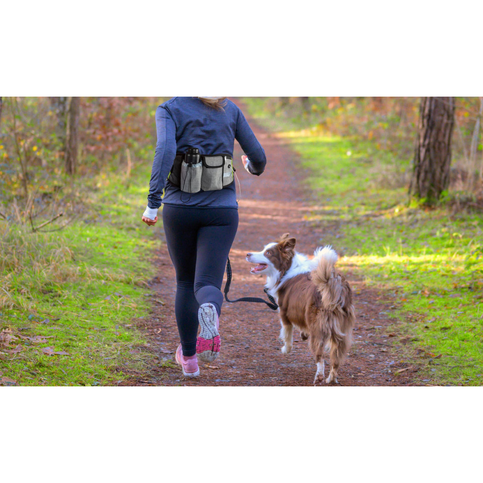 Laisse pour chien mains libres